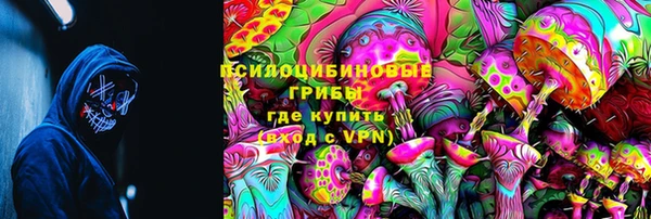 молекула духа Абинск