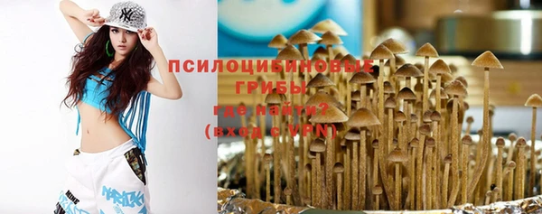 mdpv Осташков